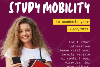 Current offer of mobilities for FBE UE students