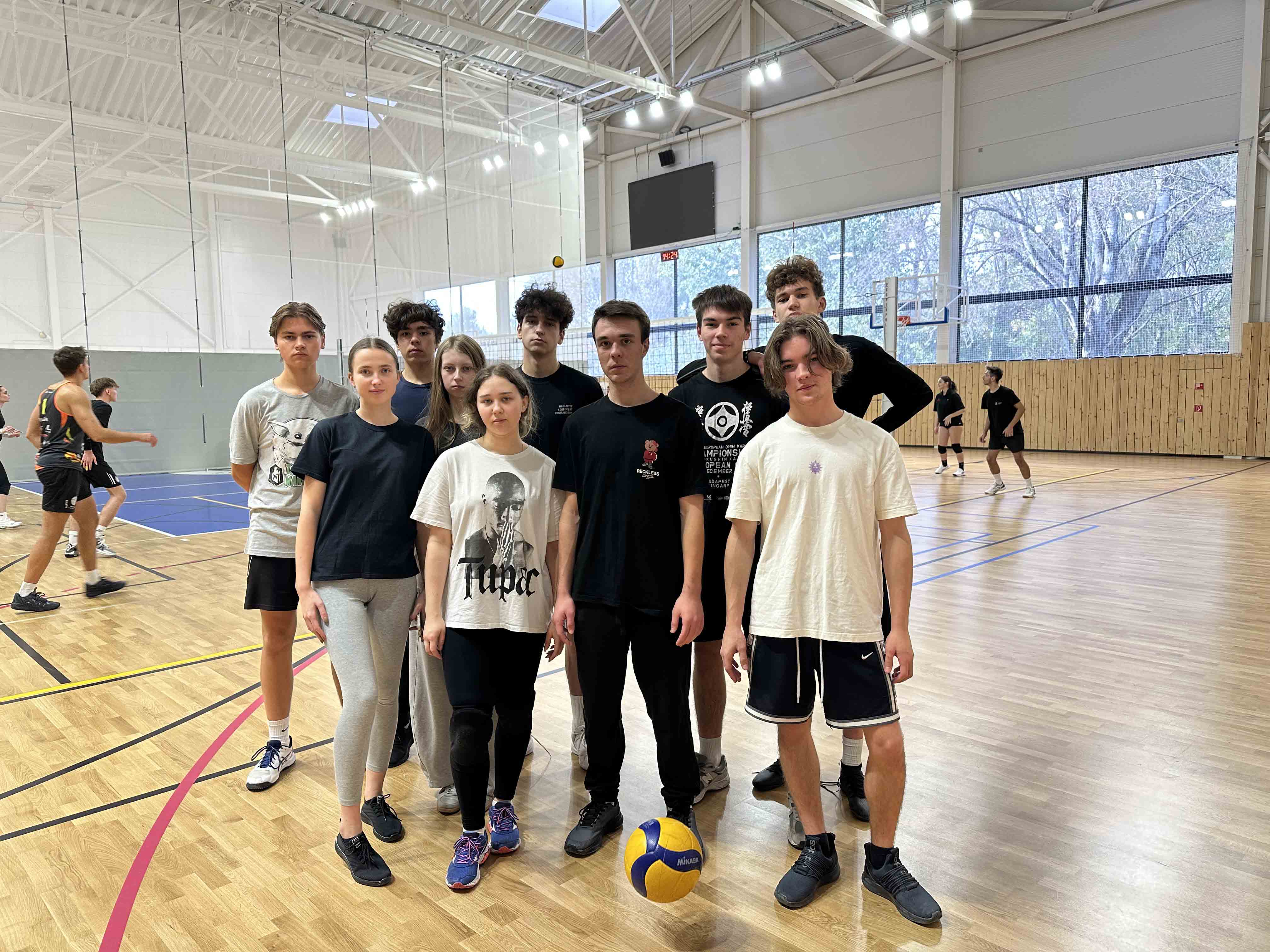 uds25 volejbal